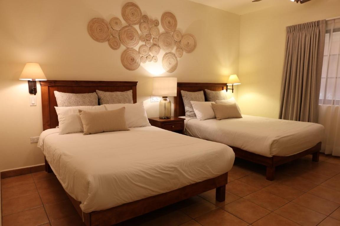 Hotel Colli San José del Cabo Zewnętrze zdjęcie