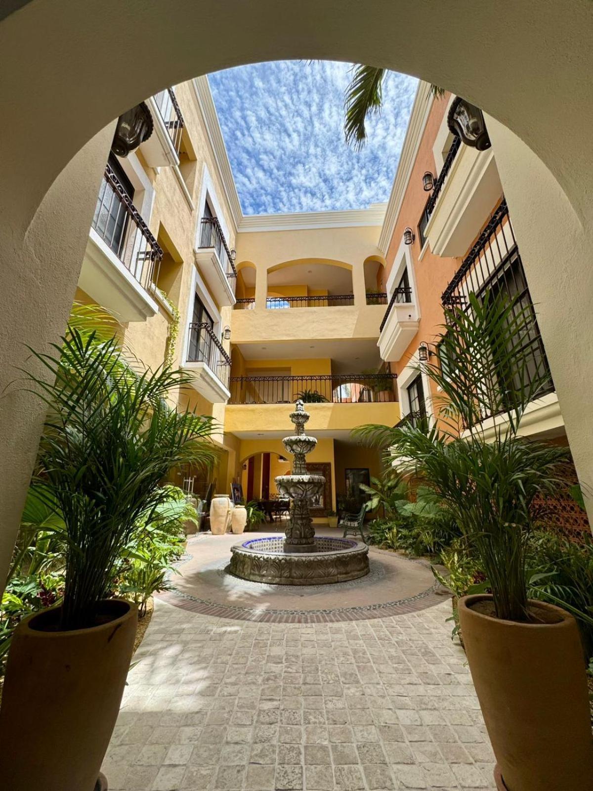 Hotel Colli San José del Cabo Zewnętrze zdjęcie